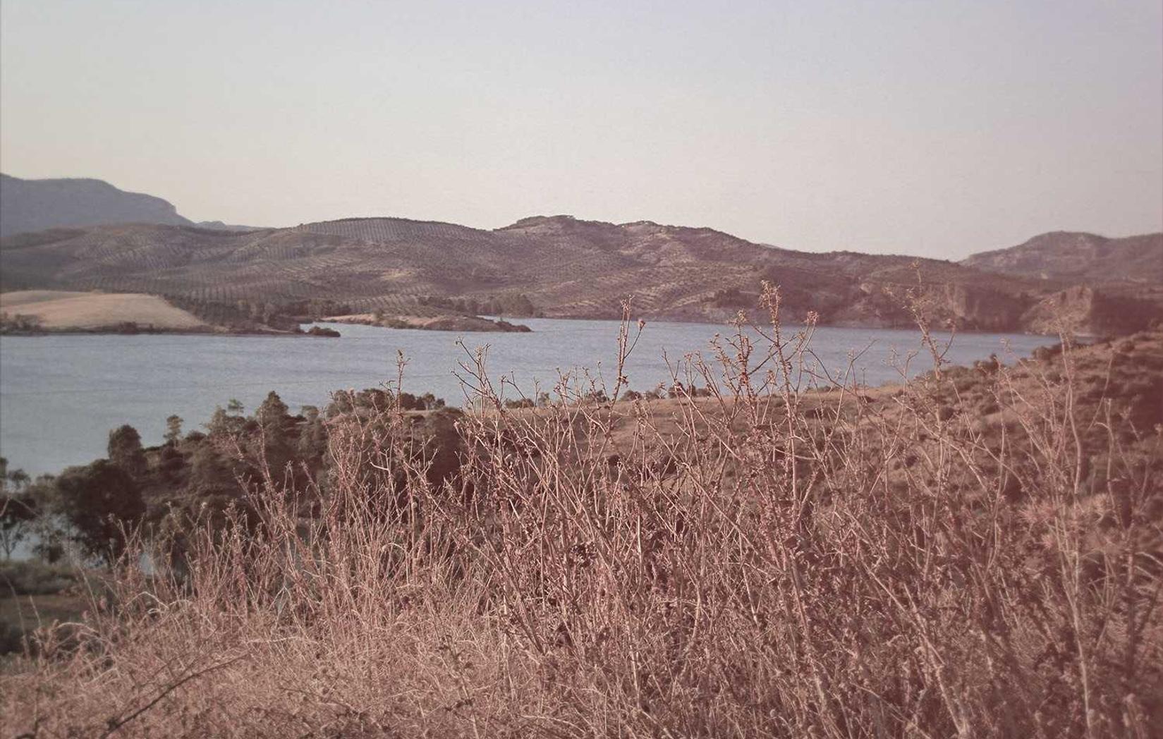 DDOS网页端平台|湖州企业注册代理服务机构