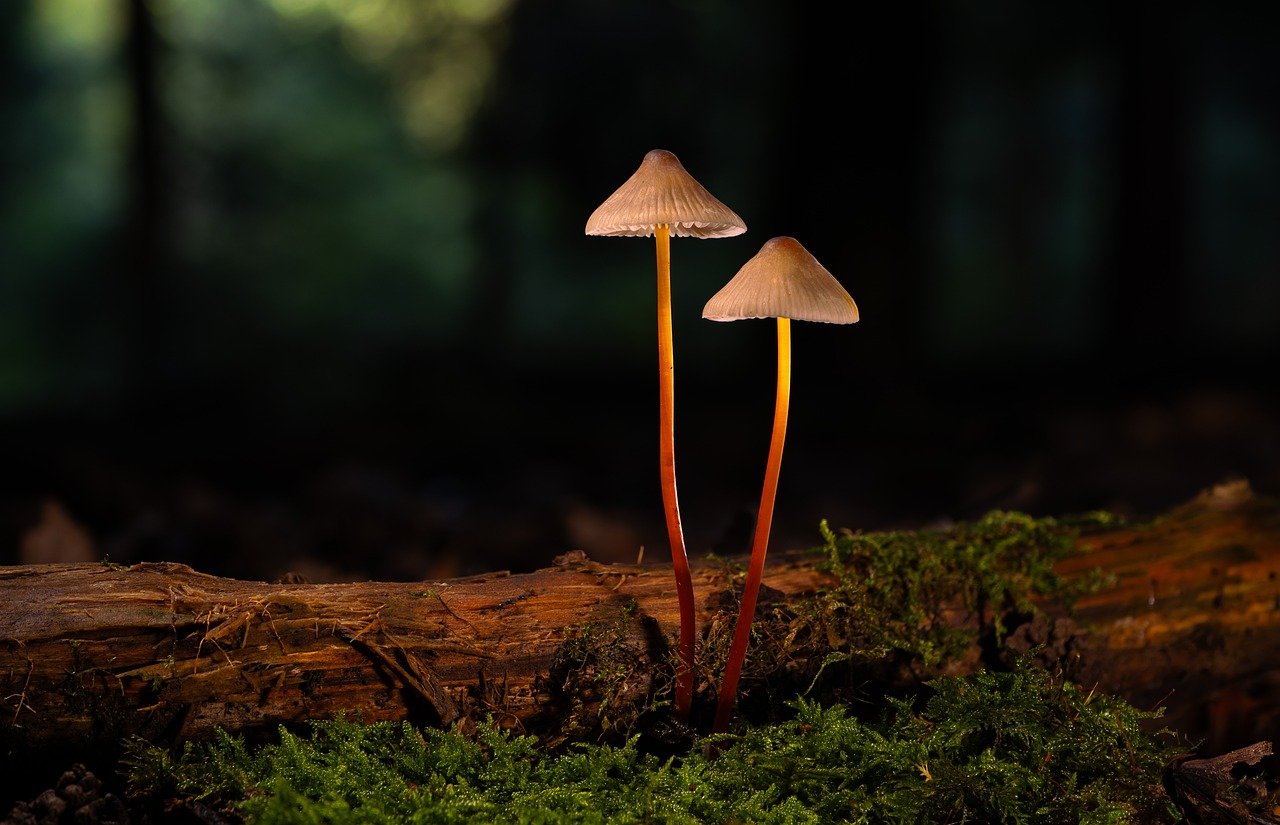 如何判断游戏中是否存在技术支持辅助 