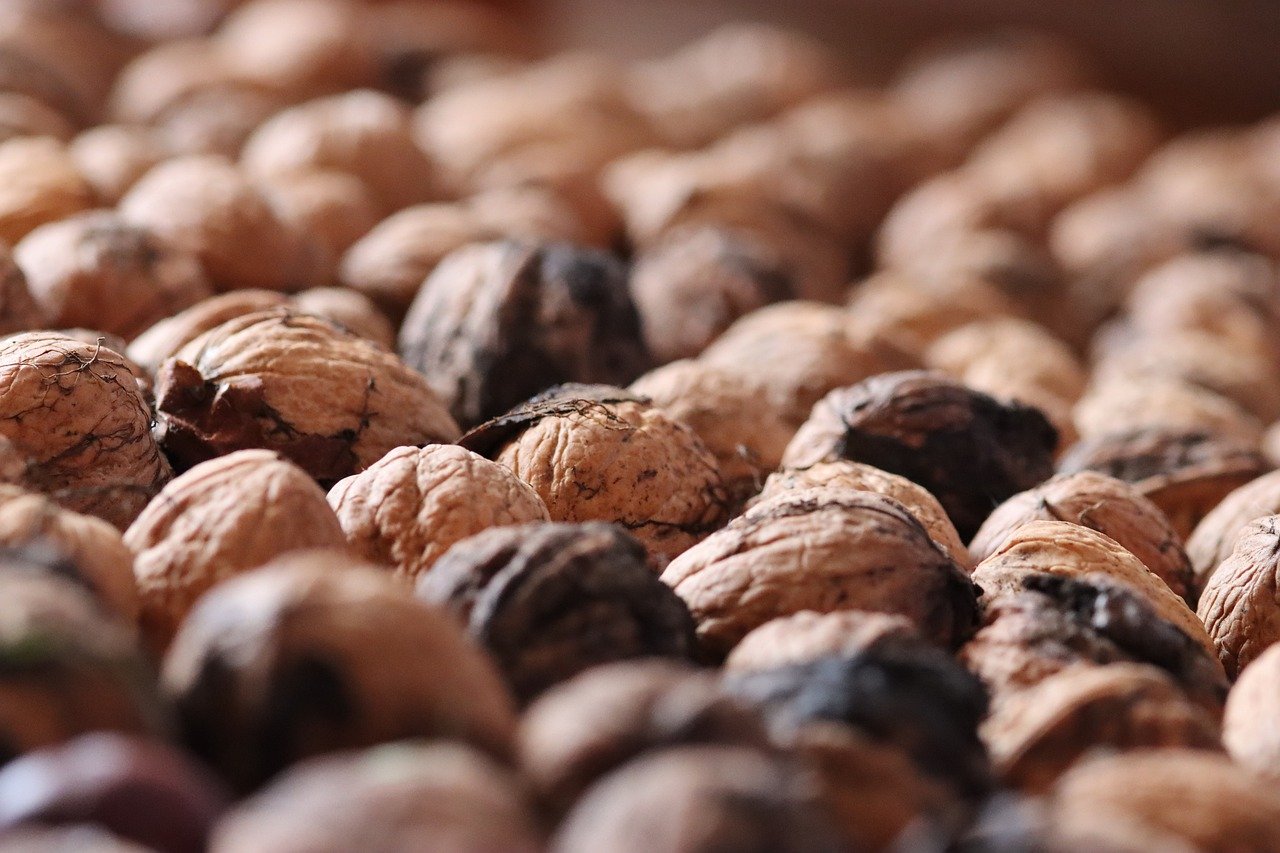 小红书实名账号：浙里阅注册账号