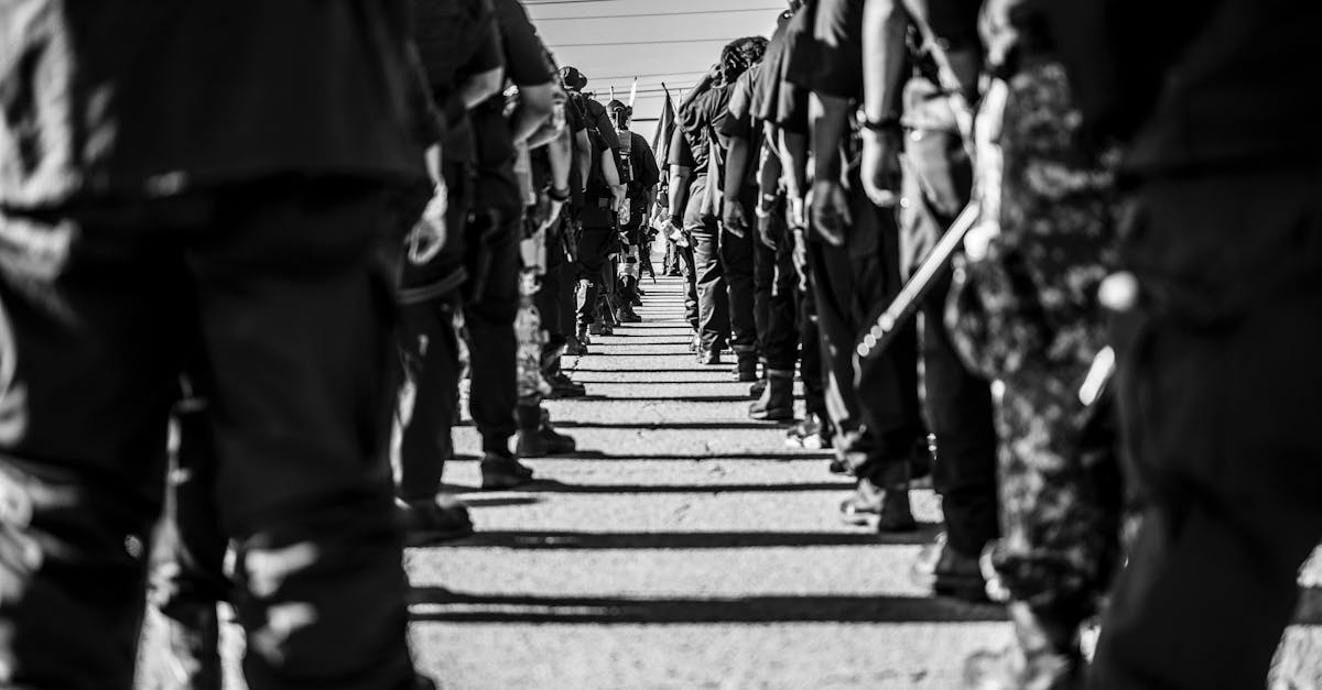 中国电信实名账号：公务购买平台