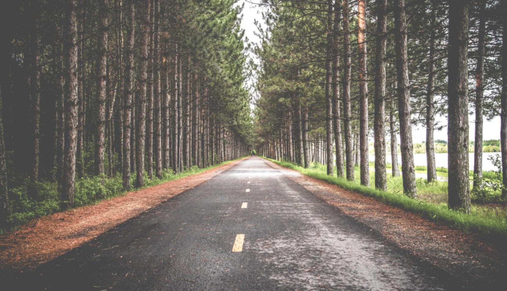 网页在线DDOS压力测试|如何防范对食品和农业系统的黑客攻击