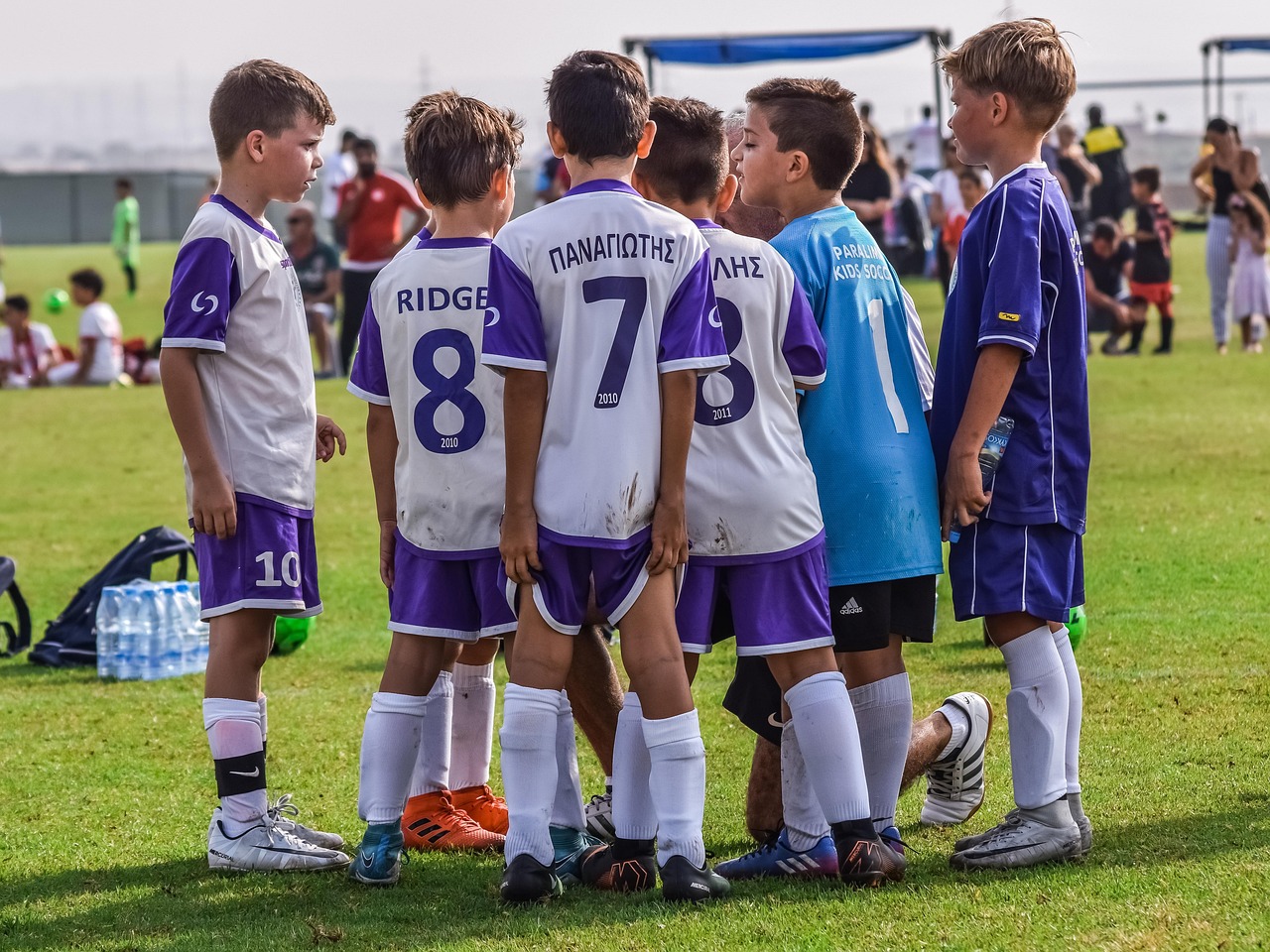 团委购买服务平台