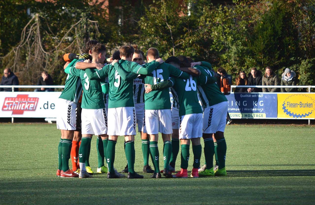 移动芒果卡- 香港电视直播app详情下载教程